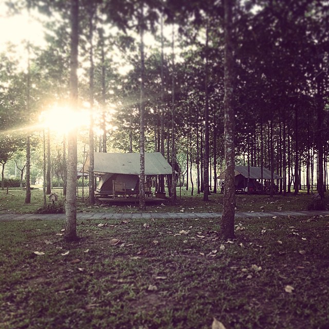 Peaceful afternoon at the campsite